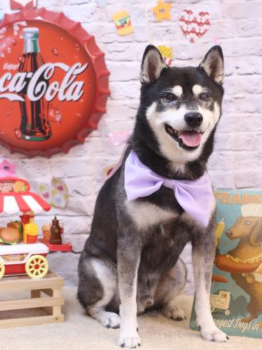 20230926タロくん